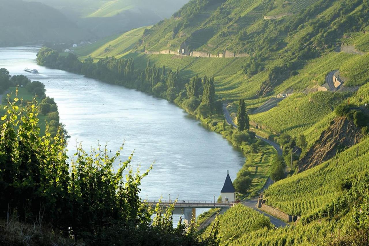 Weingut & Gaestehaus Christoph Cluesserath Trittenheim Exterior foto