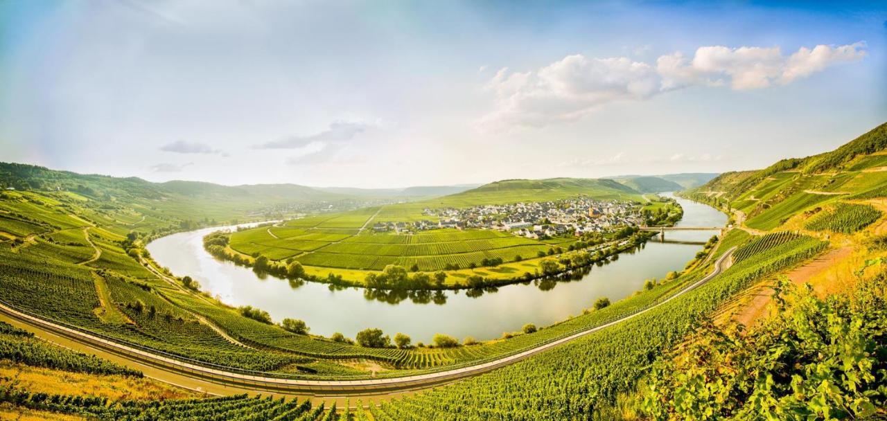 Weingut & Gaestehaus Christoph Cluesserath Trittenheim Exterior foto