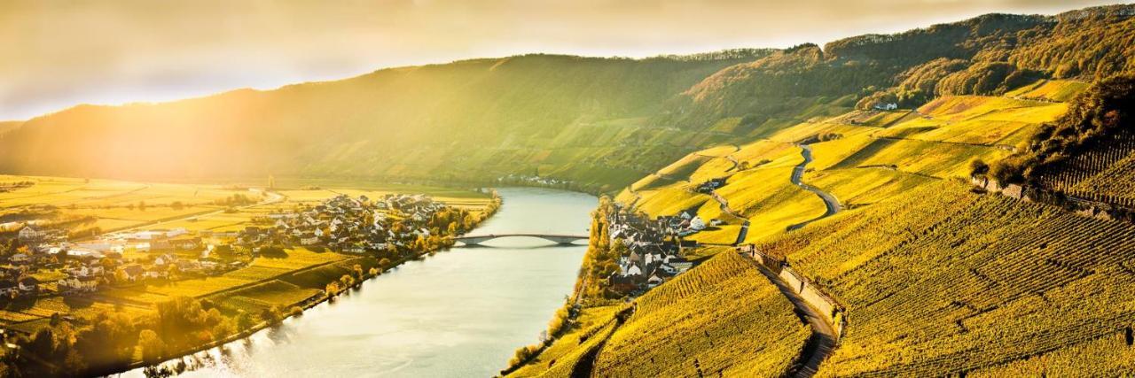 Weingut & Gaestehaus Christoph Cluesserath Trittenheim Exterior foto