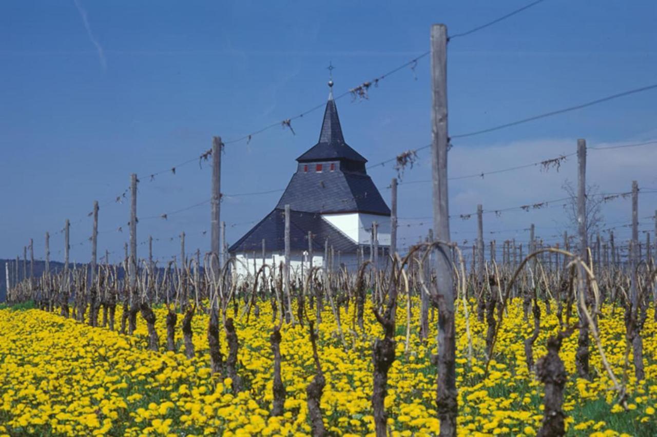 Weingut & Gaestehaus Christoph Cluesserath Trittenheim Exterior foto